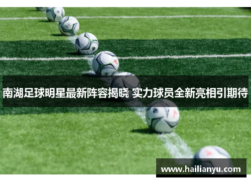 南湖足球明星最新阵容揭晓 实力球员全新亮相引期待