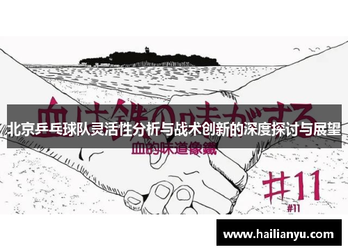 北京乒乓球队灵活性分析与战术创新的深度探讨与展望