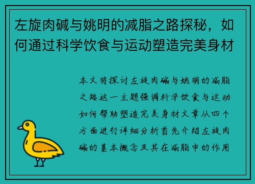左旋肉碱与姚明的减脂之路探秘，如何通过科学饮食与运动塑造完美身材