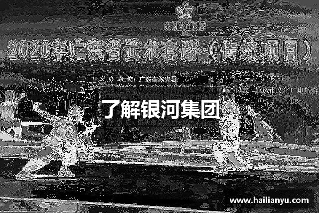 了解银河集团